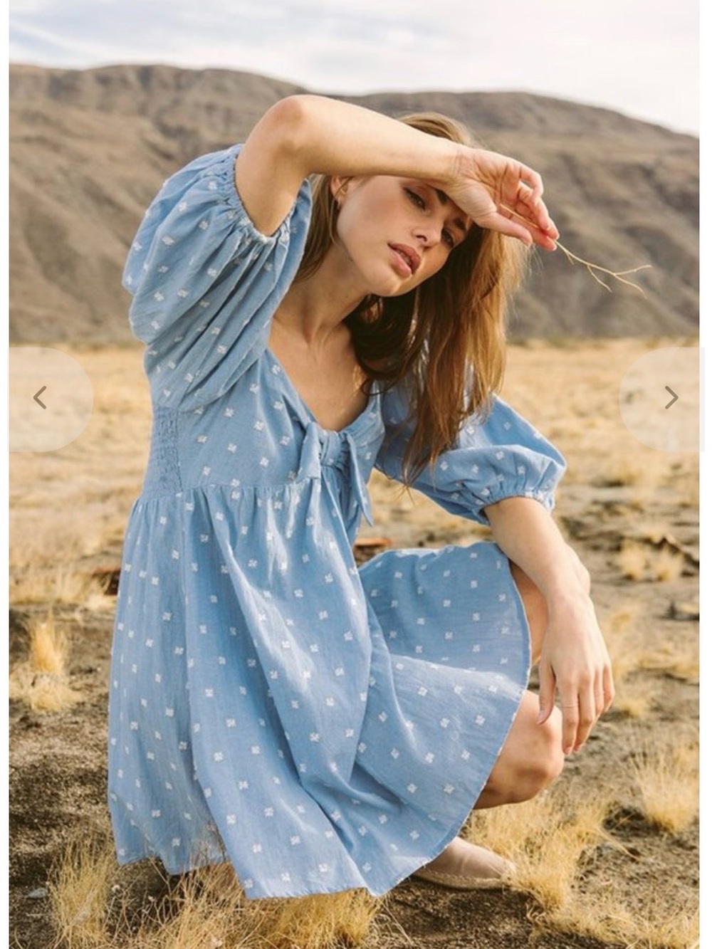 Cleobella Katherine Mini Dress NWT